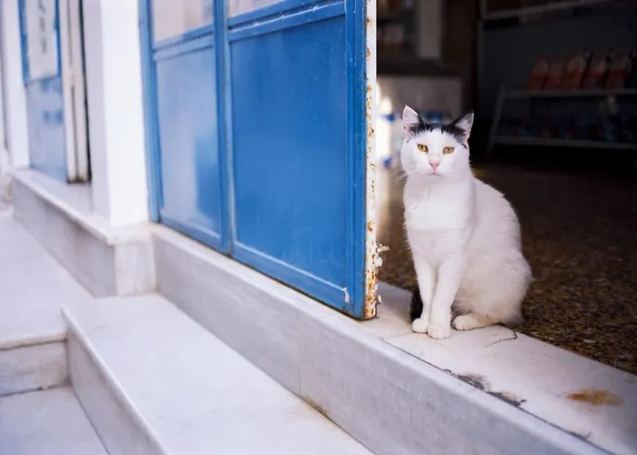 Charming Santorini 2 Bedrooms Premium Private Heated Pool
